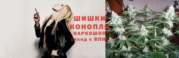 трава Магадан