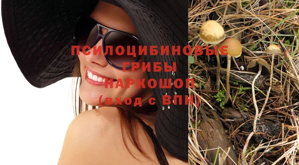 дживик Мегион