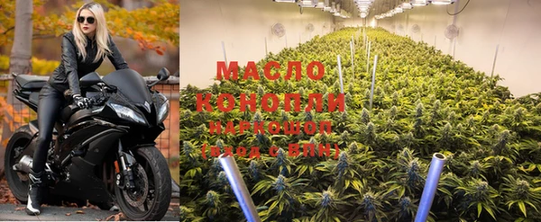 дживик Мегион