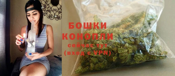 дживик Мегион